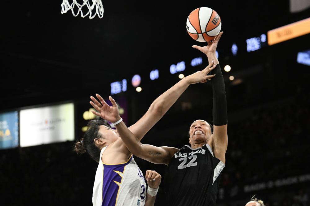 引进了赖斯 引进了赖斯